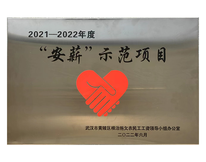 黃陂項目.png